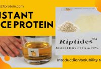 Riptides™ Instant rice protein hydrolyzed rice protein introduction and solubility test ETprotein