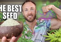 HEMP SEEDS ARE AMAZING & WHY YOU SHOULD EAT THEM!