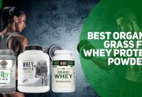 Best Organic Grass Fed Whey Protein Powders