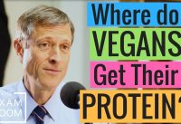 Can Vegans Get Enough Protein? | The Exam Room Podcast