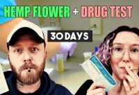 Pass or Fail? We smoked CBD Hemp Flower for 30 Days. See our lab results!