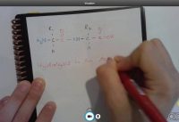 Hydrolysis of Proteins