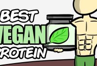 What is the BEST Vegan Protein Powder? | Soy vs Rice vs Pea