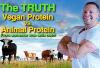 Vegan Protein Vs. Animal Protein – The TRUTH From Someone Who Sells Both!