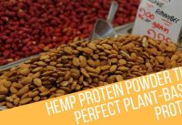 Hemp Protein Powder The Perfect Plant Based Protein