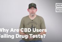 Why Are People Who Take CBD Testing Positive For THC? | Opinions | NowThis