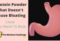 Protein Powder That Doesn't Cause Bloating