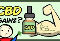 Can CBD Improve Muscle Gains? (Current Evidence)