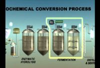 Biochemical Enzymatic Hydrolysis