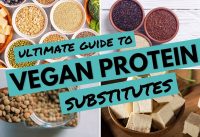 Ultimate Guide to Vegan Protein Substitutes | BEST Vegan Protein Sources