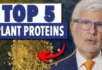 Top 5 Plant Proteins | Ask Gundry