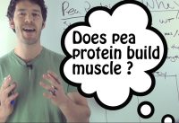 Whey Protein VS Pea Protein: do they compare?