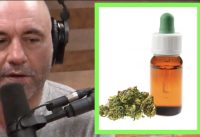 Joe Rogan – The Benefits of CBD