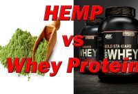 Hemp vs Whey Protein | Facts Should Know About Protein Powder