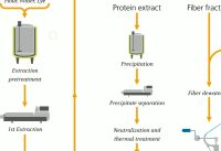 Protein concentrate and isolate