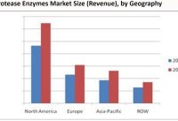 Global Protein Hydrolysis Enzymes Market