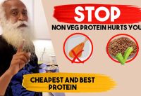 Do not eat non-veg protein ll Sadhguru reveals the cheapest and best veg protein