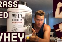 Best Grass Fed Whey Protein?  Levels Provisions 100% Grass Fed Whey Protein Review – PURE CHOCOLATE