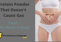 Protein Powder that doesn't cause Gas