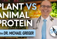 Plant vs Animal Protein with Dr. Michael Greger