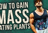 How To Gain MASS On A Vegan Diet