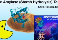 Microbiology | Amylase (Starch Hydrolysis) Test [Theory and Results]