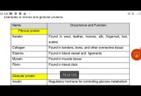 Protein: hydrolysis, denaturation, classifications