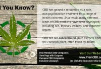 CBD Oil Show Up In Drug Test CBD Facts