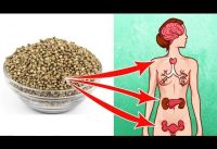 5 Amazing Health Benefits Of Hemp Seeds That Can Change Your Life