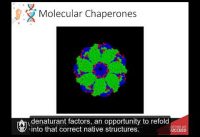 CH450 Chapter 2.6 Protein folding, denaturation, and hydrolysis