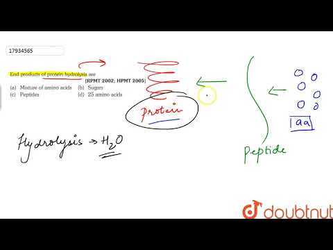 End products of protein  hydrolysis  are