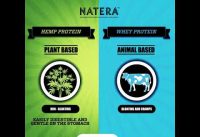 Hemp Protein vs Whey Protein