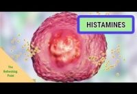 Histamine – Benefits & Negative Effects – Foods High in Histamine & Low Histamine Diet