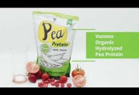 Plant Based – 100% Pure Organic Hydrolyzed Pea Protein Powder – Canada Grown Yellow Pea, Vegan