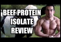 The Truth About Beef Protein Isolate Powder