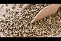 This Happens To Your Body When You Eat Hemp Seeds Every Day