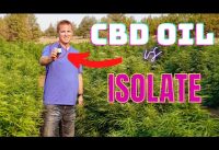 What is CBD? The Difference Between CBD oil and CBD Isolate.