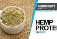 Health Benefits of Hemp Protein