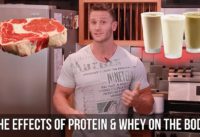 How Does Whey Protein Affect Fat Loss and Insulin – Thomas DeLauer