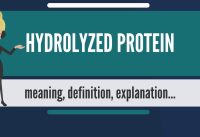 What is HYDROLYZED PROTEIN? What does HYDROLYZED PROTEIN mean? HYDROLYZED PROTEIN meaning